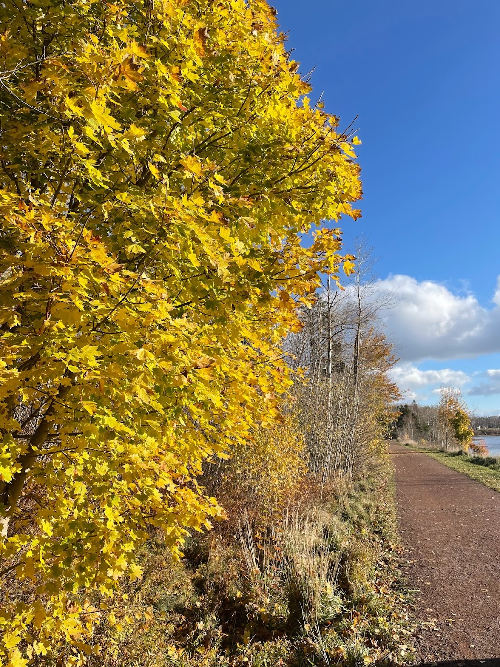 Confederation Trail, Brudenell | Cardigan, PE C0A 1G0, Canada | Phone: (989) 737-3709