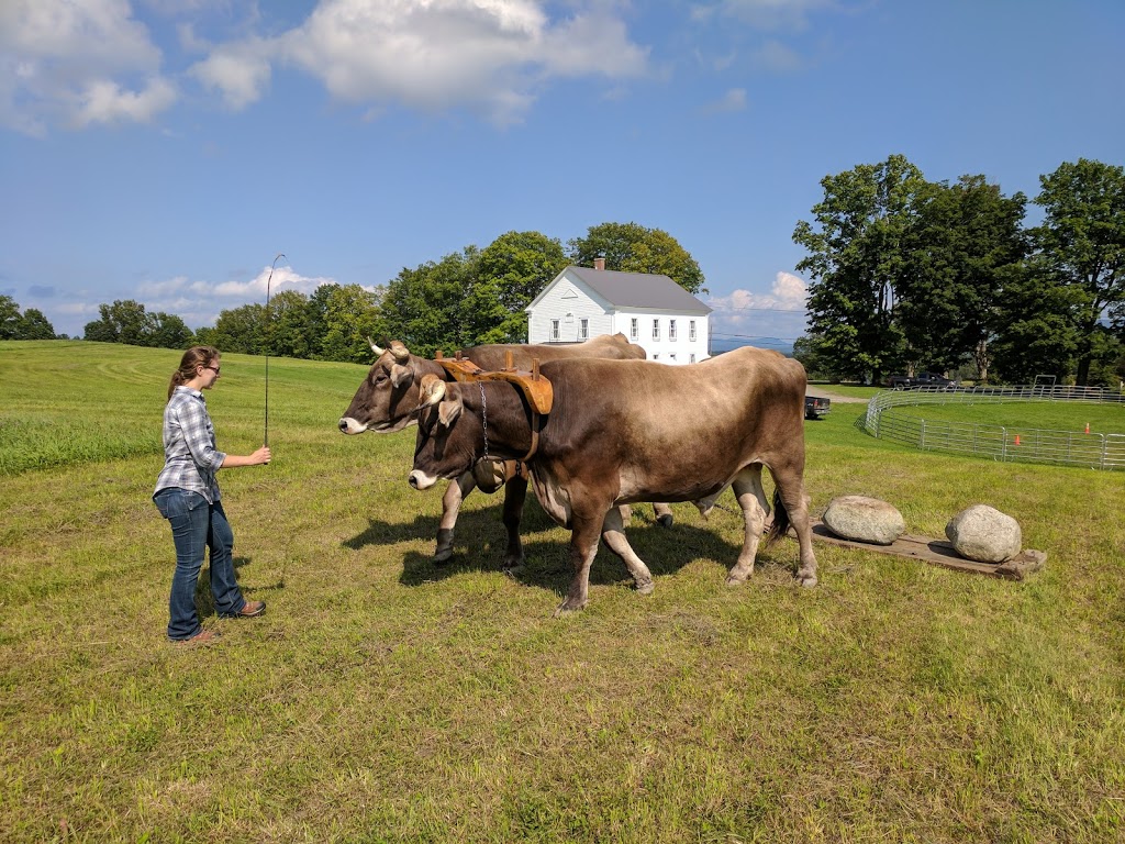 Old Stone House Museum | 109 Old Stone House Rd, Brownington, VT 05860, USA | Phone: (802) 754-2022