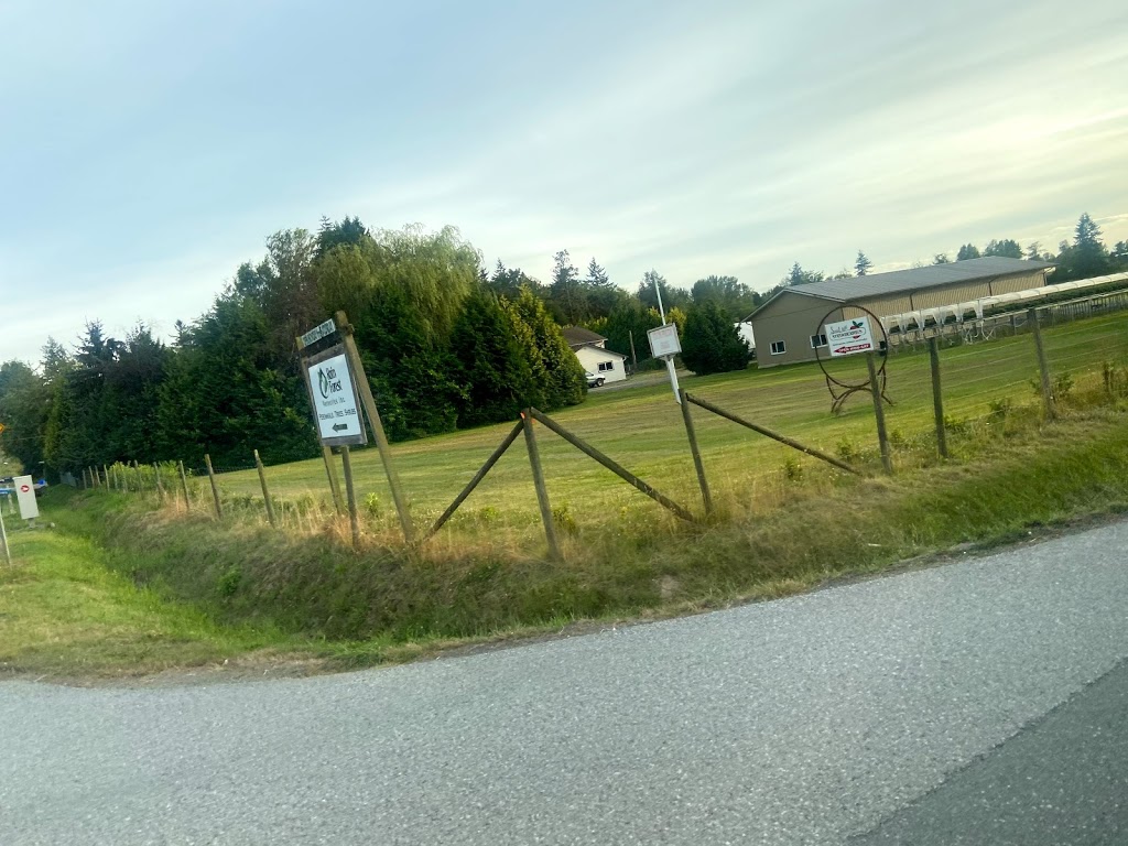 Country Squire Boarding Kennels | 24862 16 Ave, Aldergrove, BC V4W 2R6, Canada | Phone: (604) 856-7387