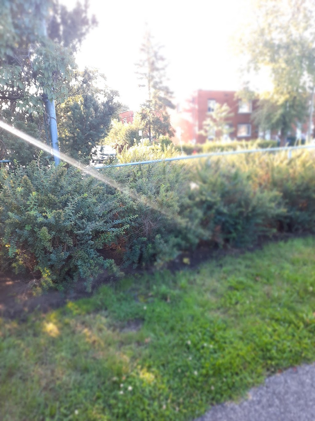 Parc Petit | 1600 Rue Poirier, Saint-Laurent, QC H4L 3H3, Canada | Phone: (514) 855-6113