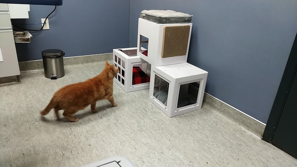 VCA Canada Harvest Hills Animal Hospital | 500 Country Hills Blvd NE #711, Calgary, AB T3K 4Y7, Canada | Phone: (403) 226-5522