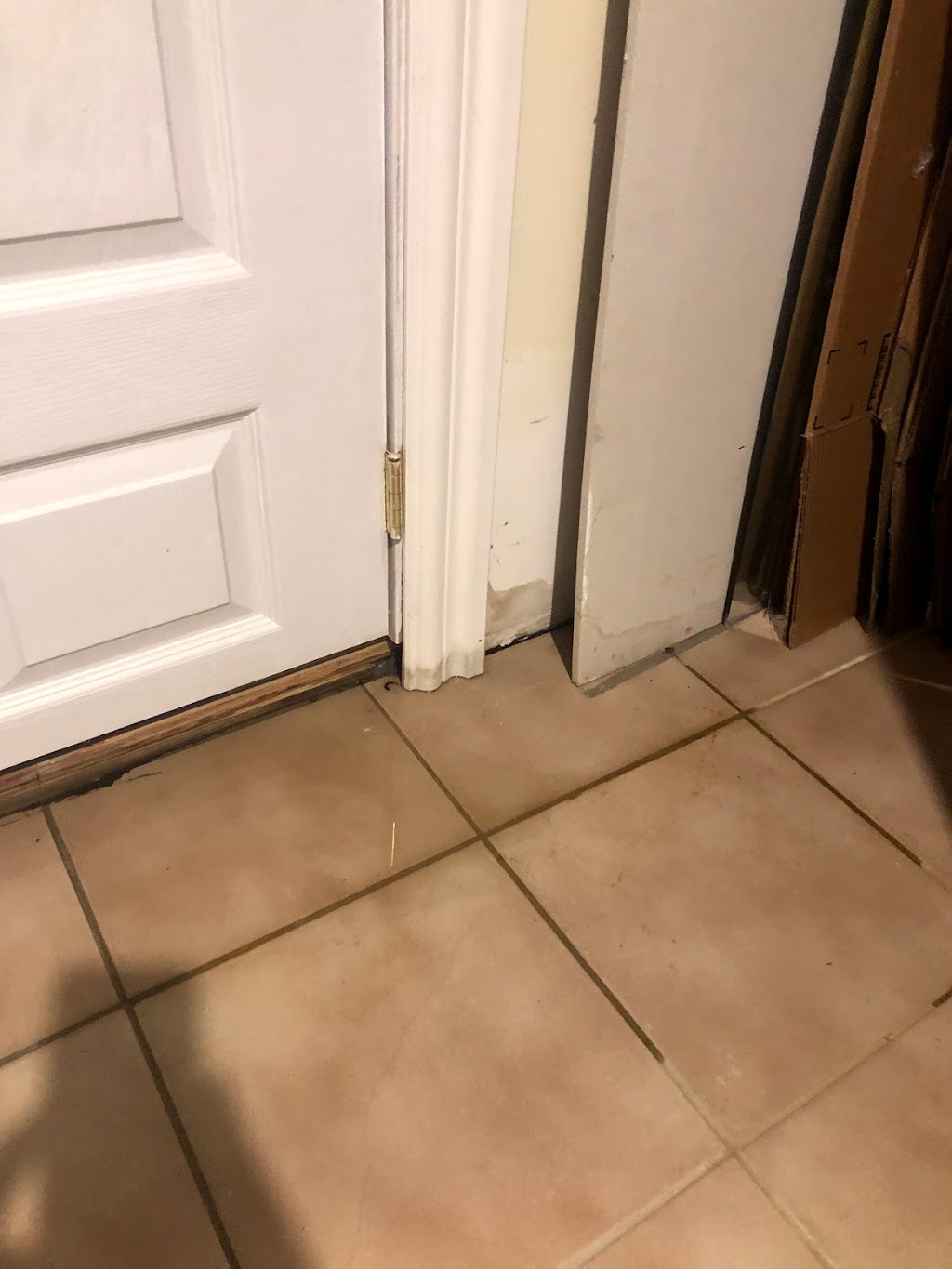 CJ Drain & Plumbing (Scarborough) | 119 Porchester Dr, Scarborough, ON M1J 2R4, Canada | Phone: (416) 519-7644