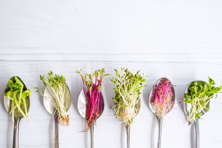 OneSprout.ca Organic Wheatgrass and Microgreens | 2387 Kawartha Heights Blvd, Peterborough, ON K9K 1S4, Canada | Phone: (647) 486-5050