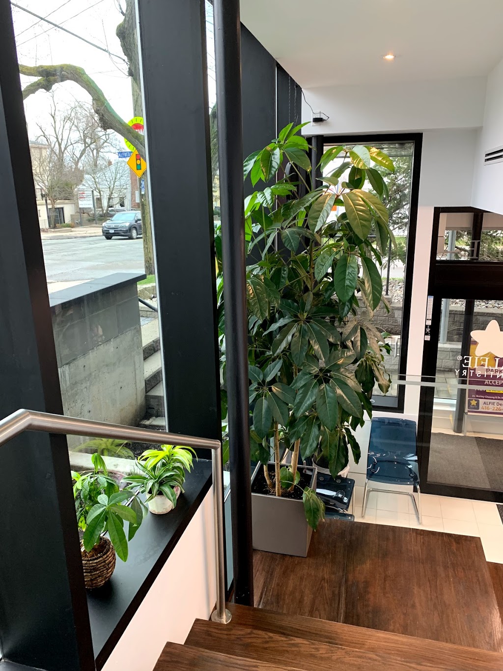 ALFIE Dentistry - Willowdale - Dr. Shirley Cheong | 172 Willowdale Ave, Toronto, ON M2M 4Y8, Canada | Phone: (416) 226-6688