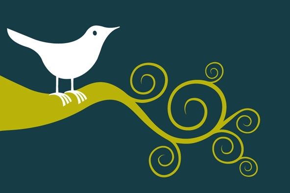 Cowichan Valley Youth Services Society (formerly Community Optio | 554 Trunk Rd, Duncan, BC V9L 2R1, Canada | Phone: (250) 748-0232