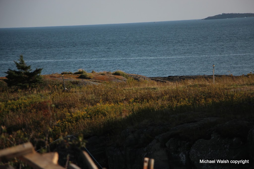 Blue Hog Gallery | 1241 Blue Rocks Rd, Lunenburg, NS B0J 2C0, Canada | Phone: (902) 640-2263