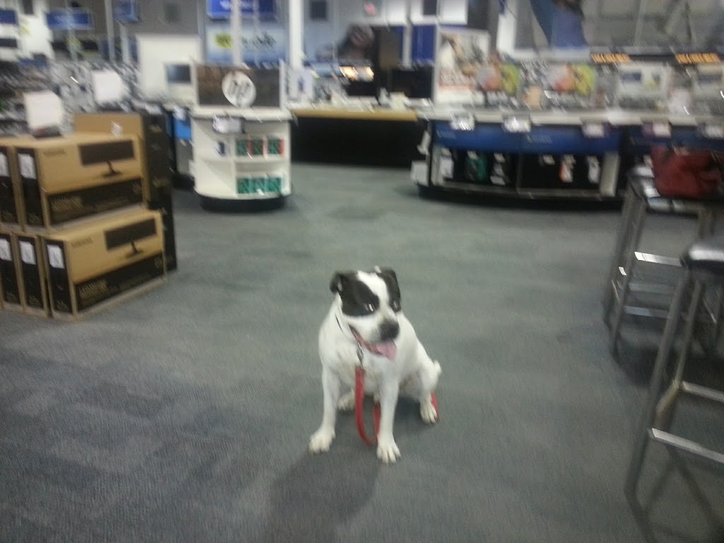 Best Buy | 202 Bell Blvd, Belleville, ON K8P 5L8, Canada | Phone: (866) 237-8289