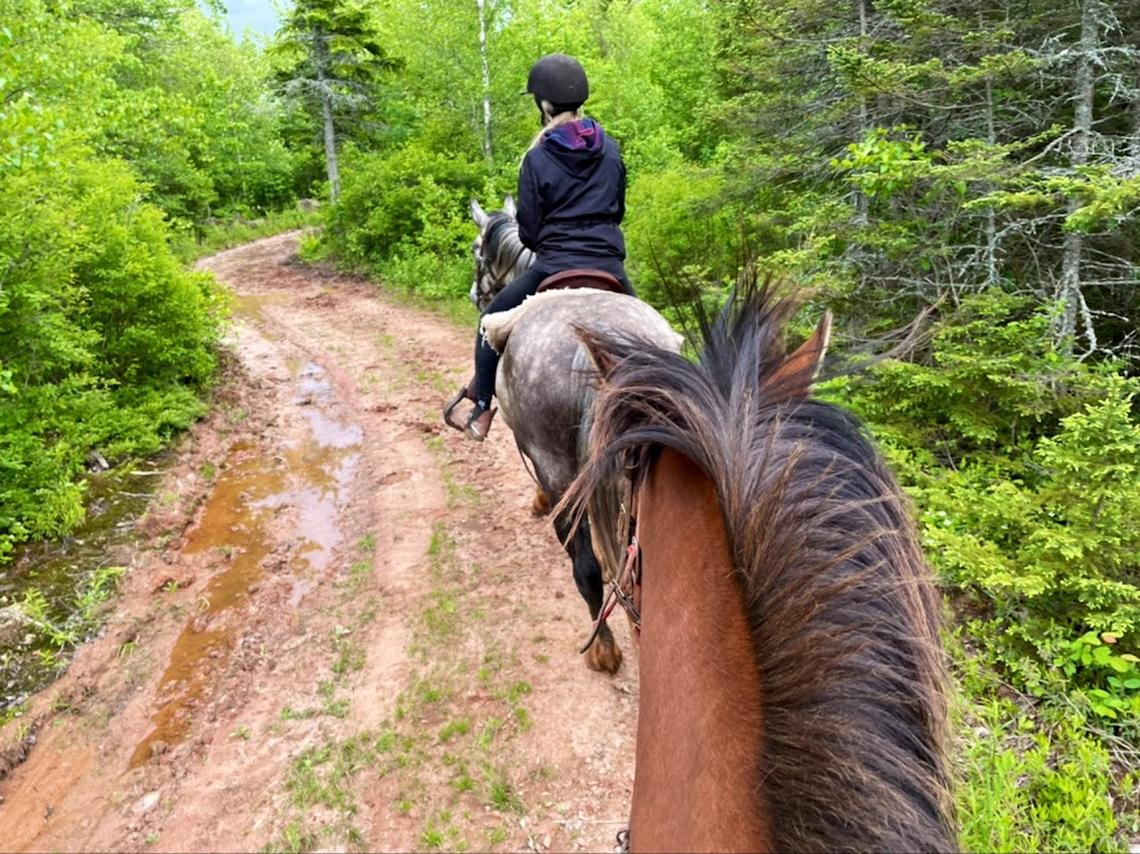 PPH Farms | 260 Maceachern Rd, Mount Herbert, PE C1B 3P7, Canada | Phone: (902) 628-7959