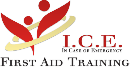 I.C.E. First Aid Training | 430 The Queensway S, Keswick, ON L4P 2E1, Canada | Phone: (905) 868-2547