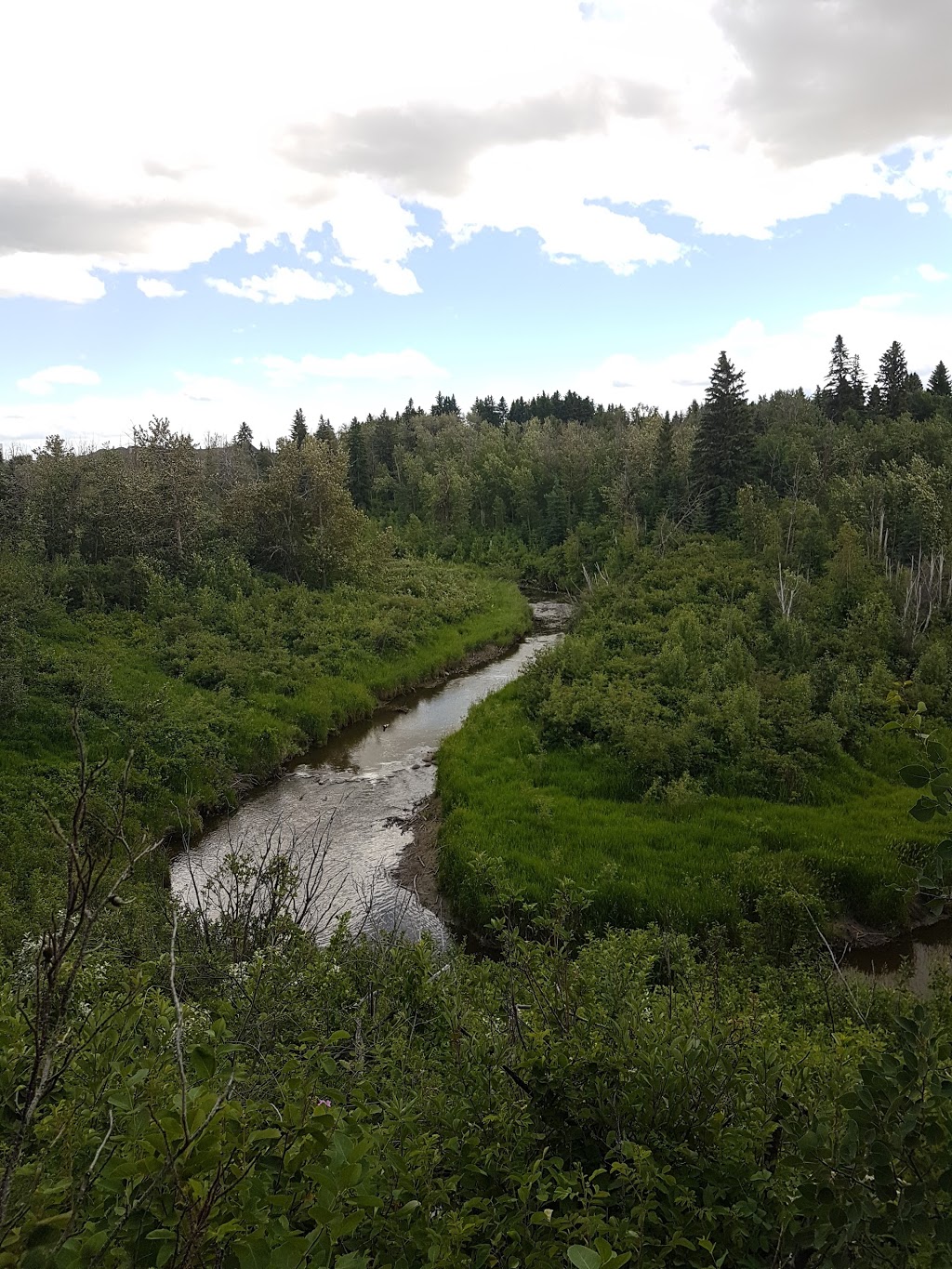 Blackburn Creek Park | 507 107 St SW, Edmonton, AB T6W 1A2, Canada