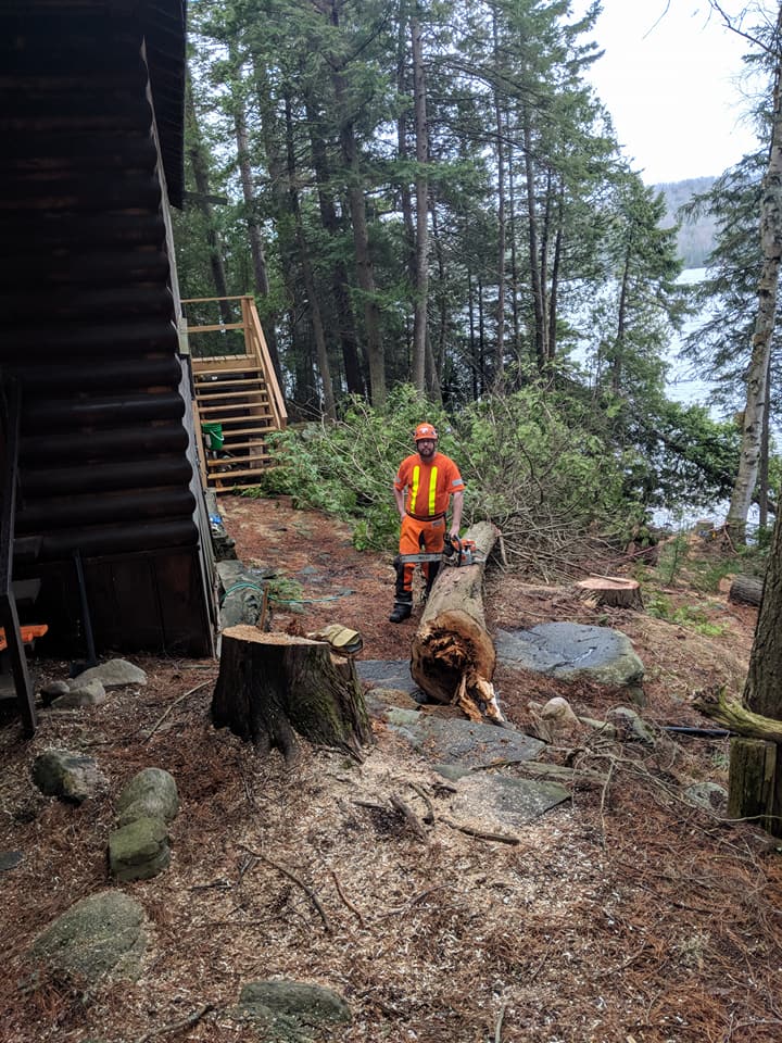 Plunketts Tree Removal Bancroft | 212 McDonald Mine Rd, Bancroft, ON K0L 1C0, Canada | Phone: (613) 334-9383