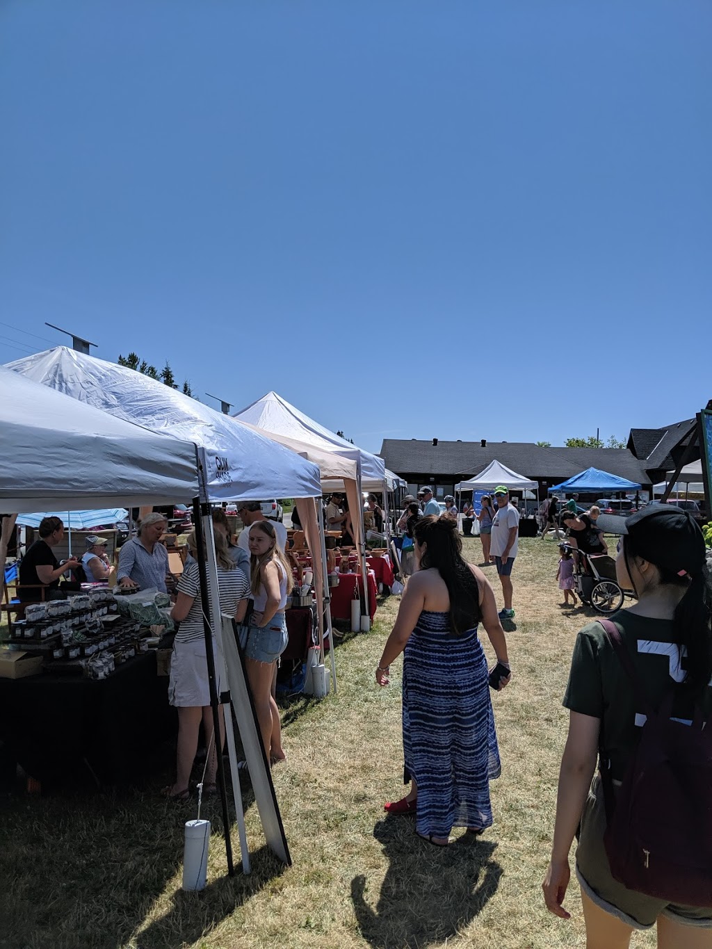Thornbury Farmers Market | Beside Municipal Town Hall, 30 Mill St, Thornbury, ON N0H 2P0, Canada | Phone: (519) 924-0777