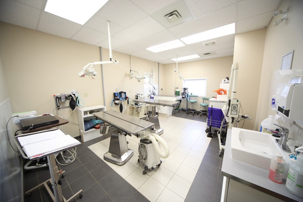 Spruce Grove Veterinary Clinic | 5 South Ave, Spruce Grove, AB T7X 3A5, Canada | Phone: (780) 962-3233