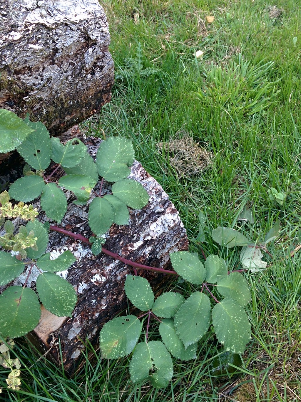 Keating Park | Cowichan Valley E, BC V9L 6R8, Canada | Phone: (250) 746-2620
