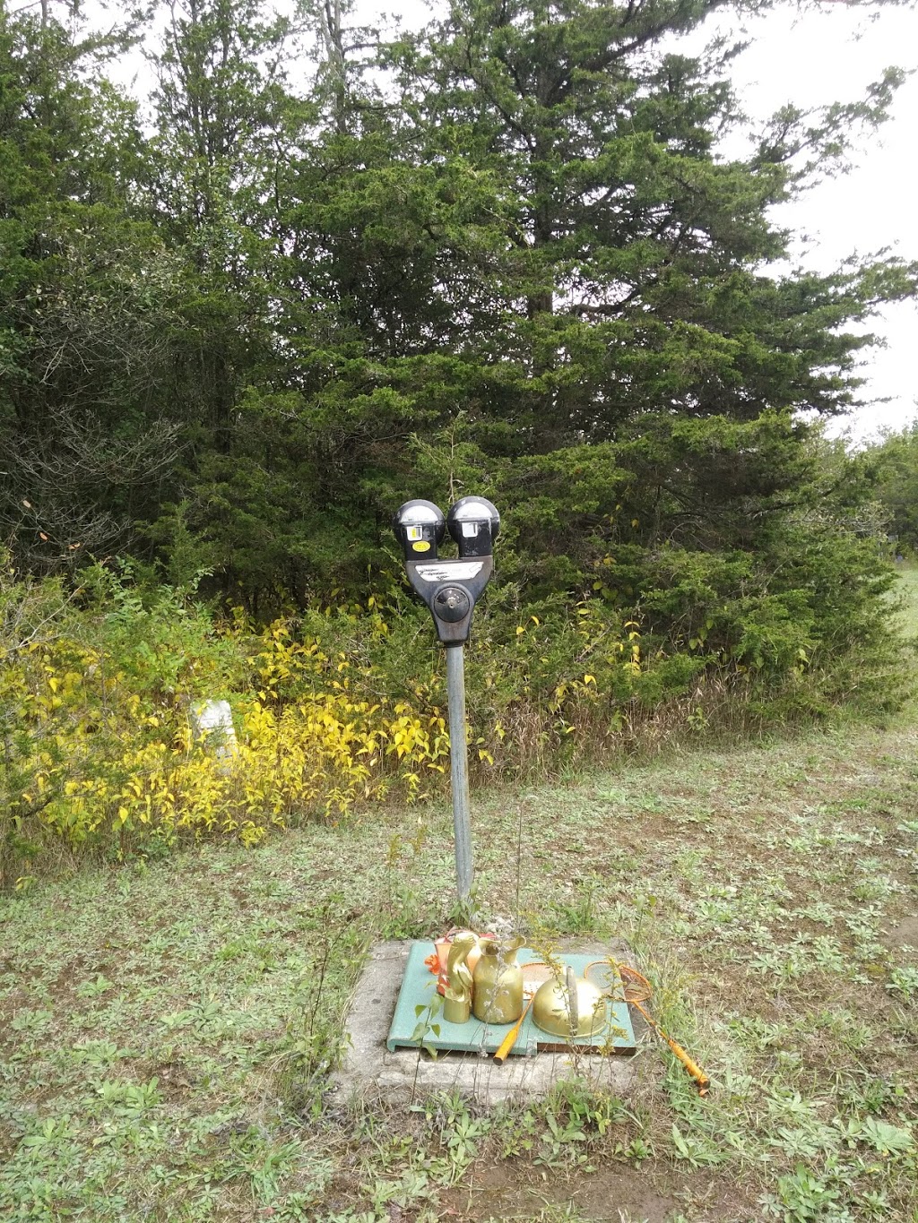 Small Pond Arts | 337 Clarke Rd, Picton, ON K0K 2T0, Canada | Phone: (613) 471-1322