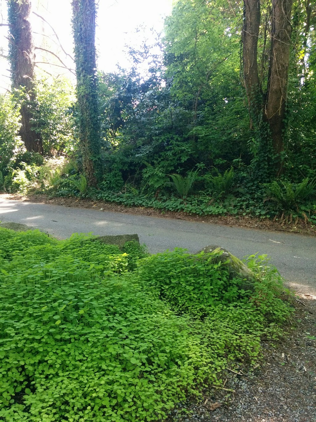 Eagles Estate Gardens | 5655 Sperling Ave, Burnaby, BC V5E 2T2, Canada