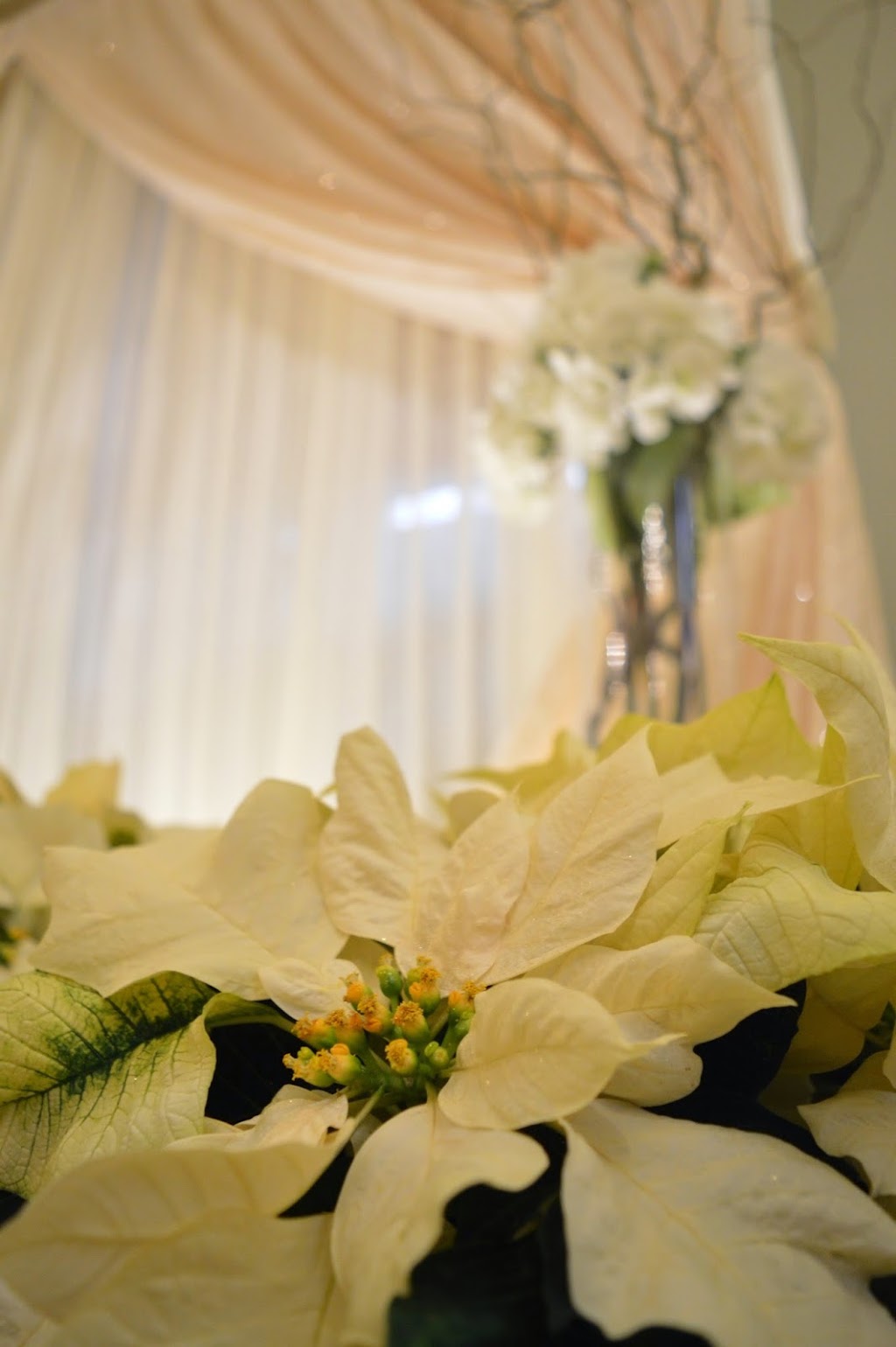 NJS Design Event & Party Rentals | 84 Devon St, Clinton, ON N0M 1L0, Canada | Phone: (519) 482-5184