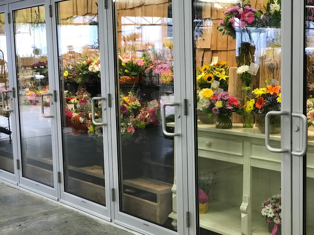 Van Belle Flowers - Courtice Location | Highway 2, 1979 King St E, Courtice, ON L1C 6E3, Canada | Phone: (905) 623-4441