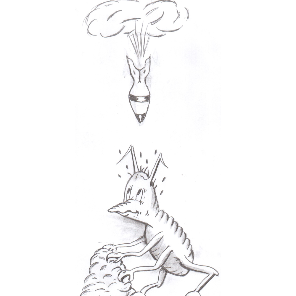 Namcor Pest Control | 119 Strachan St, Richmond, ON K0A 2Z0, Canada | Phone: (613) 838-5257