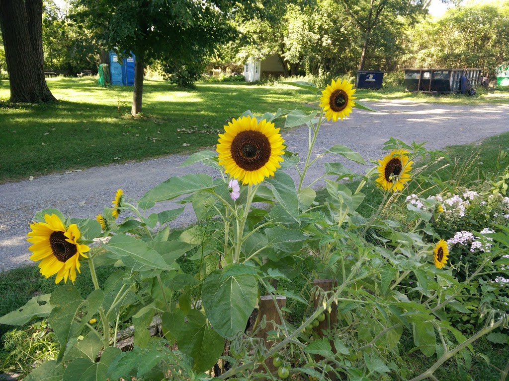 Parc du Canal-de-lAqueduc | Boulevard Champlain, Montréal, QC H8P, Canada