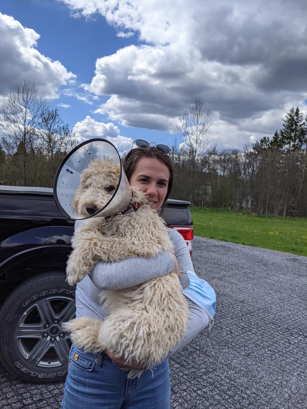 MINDEN ANIMAL HOSPITAL | 4 Booth St, Minden, ON K0M 2K0, Canada | Phone: (705) 286-2919