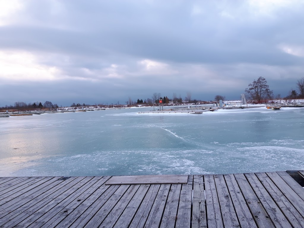 Lakeshore Yacht Club | 76 Colonel Samuel Smith Park Dr, Etobicoke, ON M8V 4B7, Canada | Phone: (416) 255-3701