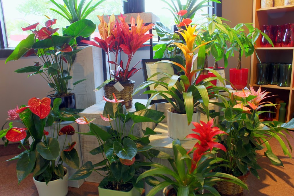 Arts Flowers Ltd. | 974 St Marys Rd, Winnipeg, MB R2M 3S1, Canada | Phone: (204) 253-0961