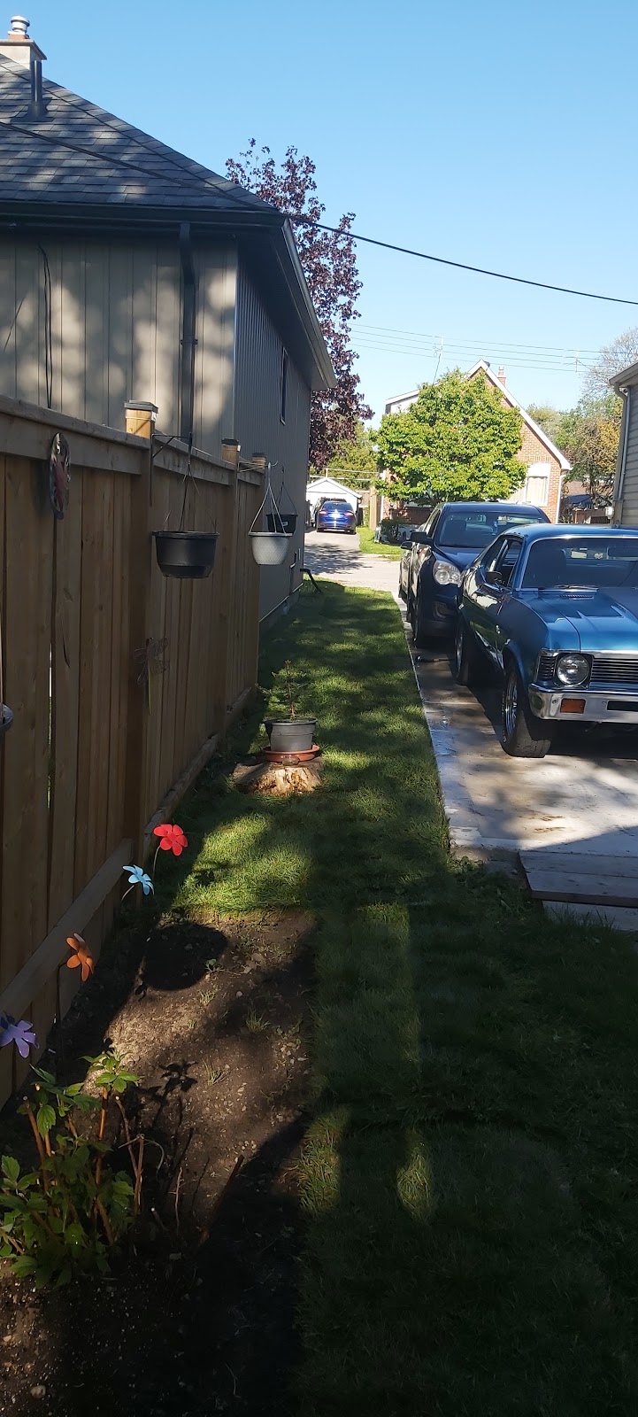 Green World Landscaping ltd | 247 Cairn St, London, ON N5Z 3W6, Canada | Phone: (226) 977-6162