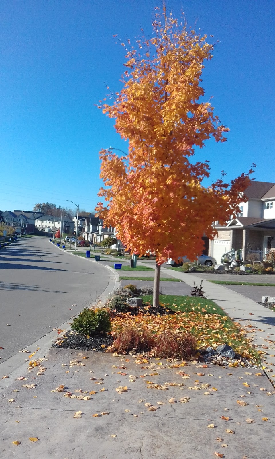 Parkvale Park | Kitchener, ON N2R 1Y8, Canada