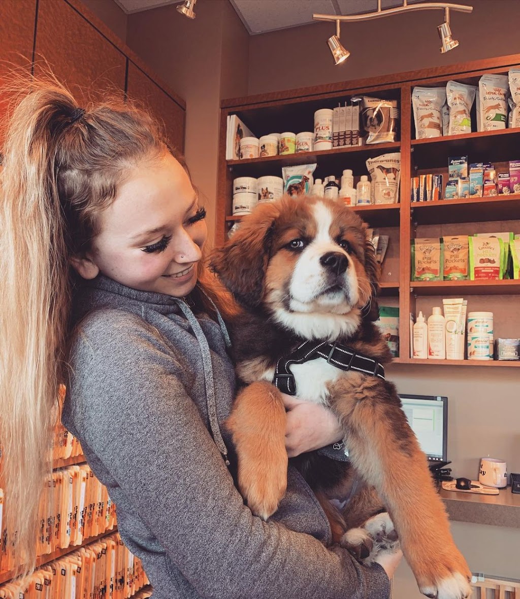 Signal Hill Animal Clinic | 1919 Sirocco Dr SW #416, Calgary, AB T3H 2Y3, Canada | Phone: (403) 249-3411