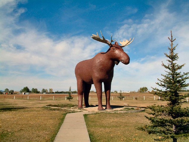 rDora Real Estate | 1455 9th Avenue NE # G17, Moose Jaw, SK S6J 1C6, Canada | Phone: (306) 552-4153