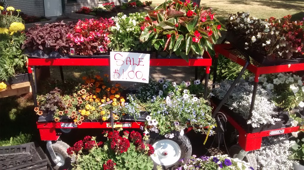 Floralane Farm Market | 2191 Arthur St N, Elmira, ON N3B 2Z1, Canada | Phone: (519) 669-3154