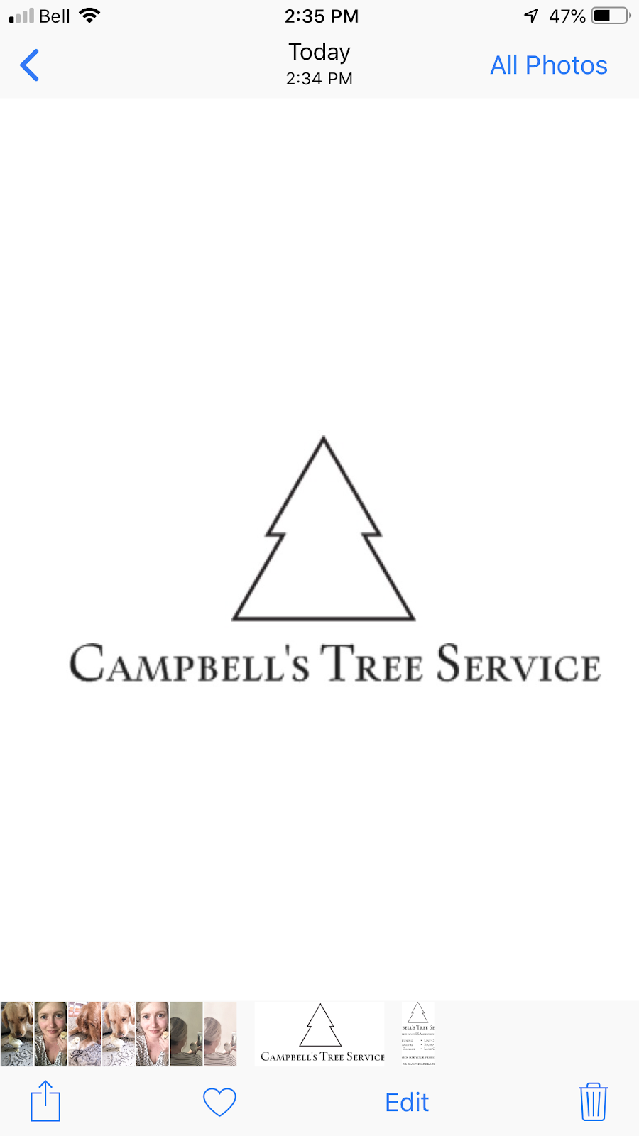 Campbells Tree Service | 2903 Burbrook Rd, Westbrook, ON K7P 2Y7, Canada | Phone: (613) 449-4533
