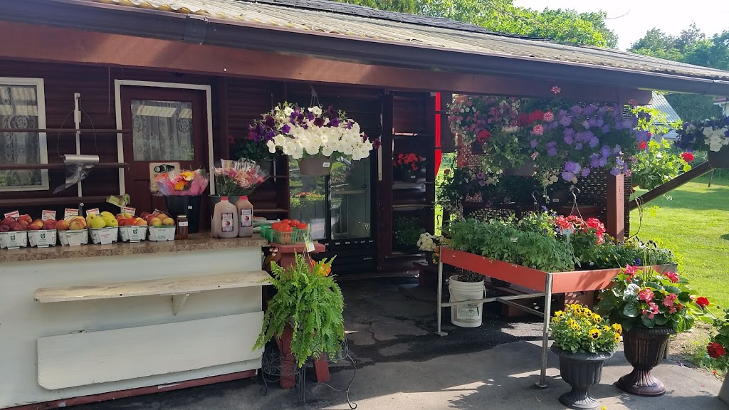 Town & Country Farms | 361 Canboro Rd, Ridgeville, ON L0S 1M0, Canada | Phone: (905) 892-4428
