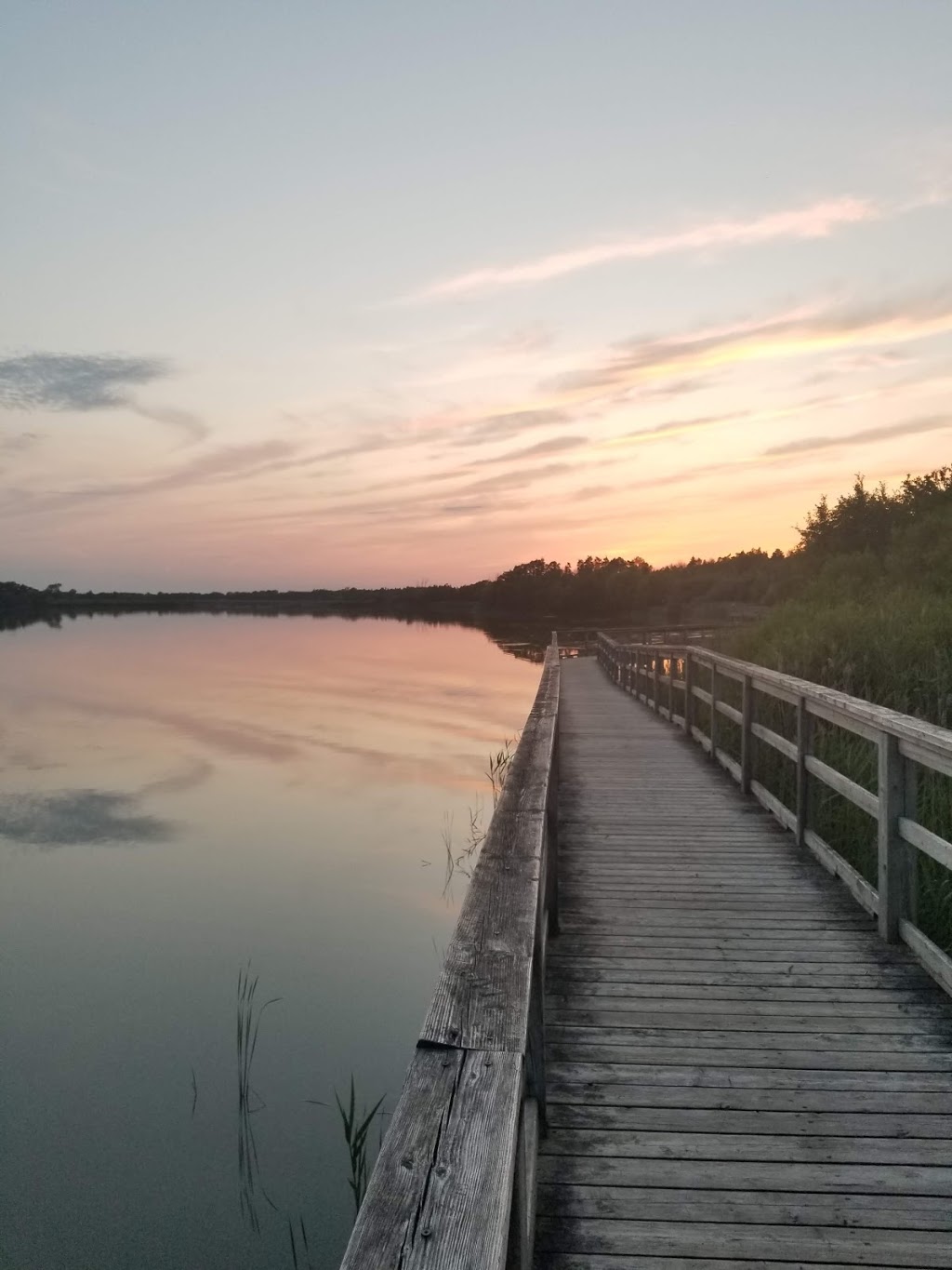 Mel Swart Lake Gibson Conservation Park - Thorold, ON L0S 1A0, Canada