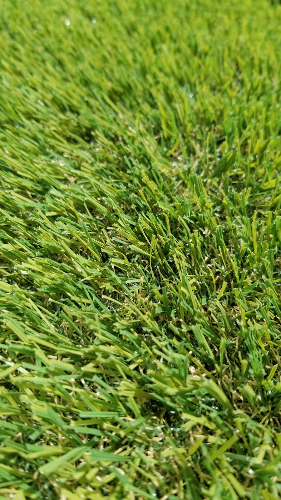 Tufturf.ca | 4060 Blenkinsop Rd, Victoria, BC V8X 2C2, Canada | Phone: (250) 721-5300