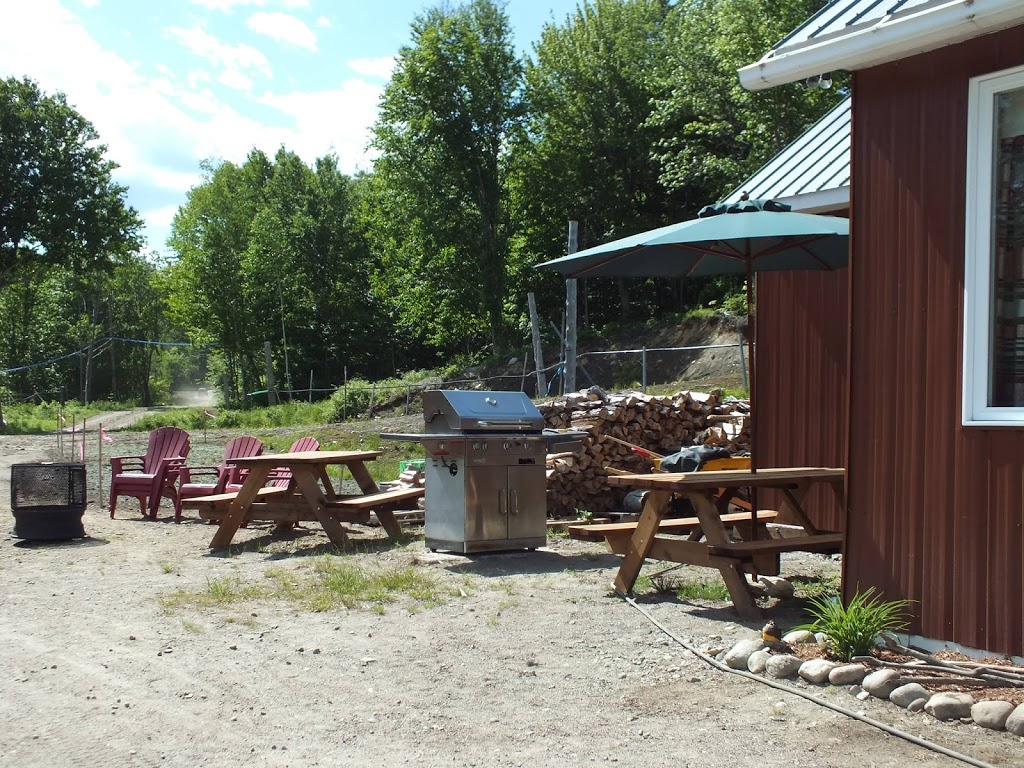 Érablière du Castor | Rue de lArc en Ciel, Notre-Dame-de-Montauban, QC G0X 1W0, Canada | Phone: (418) 326-0786