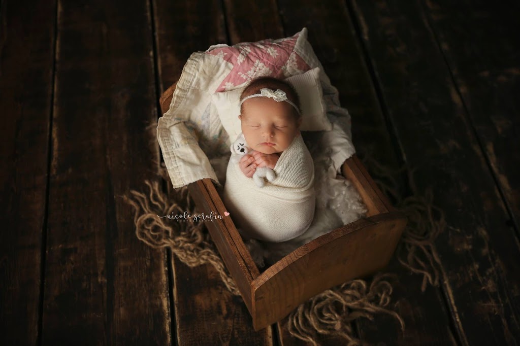 Custom Photo Props | 699 Versailles Rd, Silver Creek, NY 14136, USA | Phone: (716) 951-8021