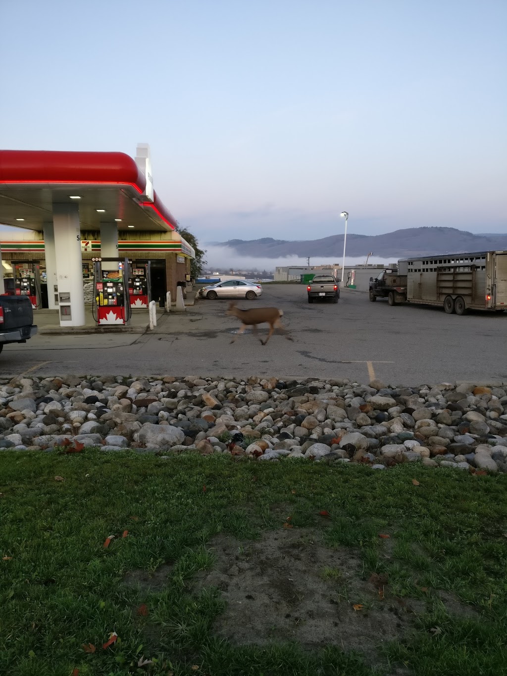 Petro-Canada | 1250 Middleton Way, Vernon, BC V1B 2V9, Canada | Phone: (250) 545-8601