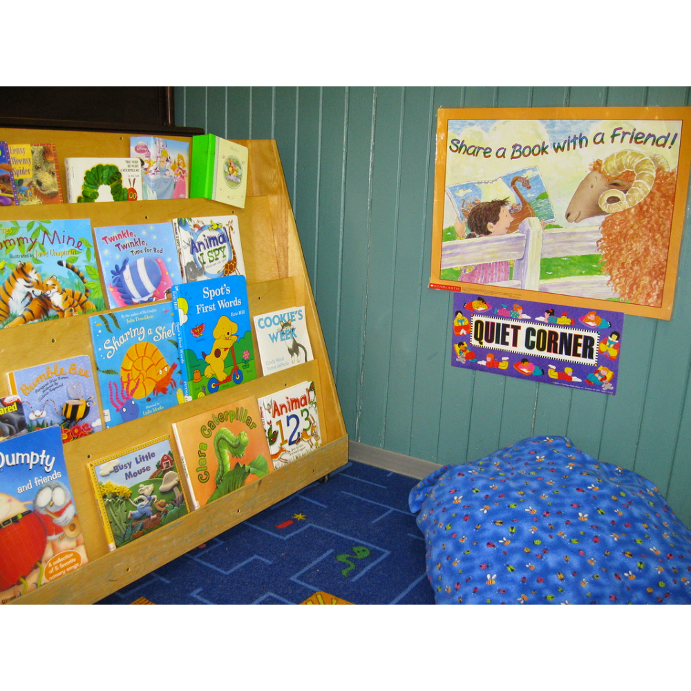 Bouncing Ball Co-operative Nursery School | 2230 Victoria Street West, Stroud, ON L0L 2M0, Canada | Phone: (705) 436-1569