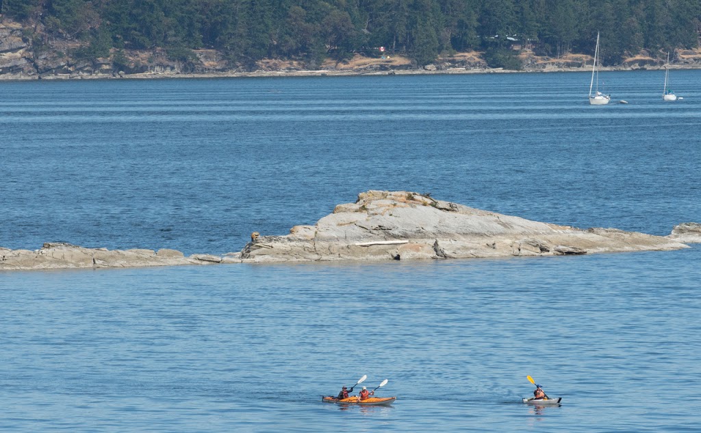 Adventures Wild Heart Sea Kayaking Tours | 1560 Brebber Rd, Nanaimo, BC V9X 1P4, Canada | Phone: (250) 722-3683