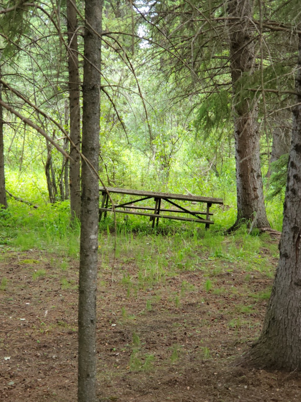 Raven River Hideaway | Unnamed Rd,, Stauffer, AB T0M 1W0, Canada | Phone: (403) 540-0484
