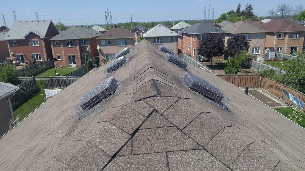 Tdot Pest Control Raccoon removal & Squirrel removal | 12 Altura Way, Brampton, ON L6P 4A1, Canada | Phone: (905) 766-3401