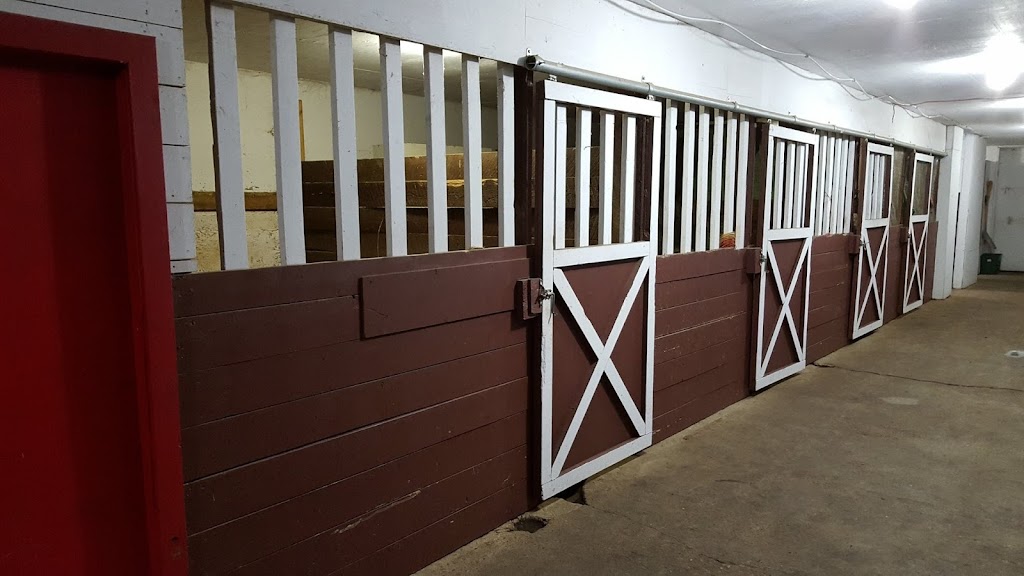 Higher Ground Horse Boarding | 52161 Range Rd 220, Sherwood Park, AB T8E 1B8, Canada | Phone: (780) 905-9333