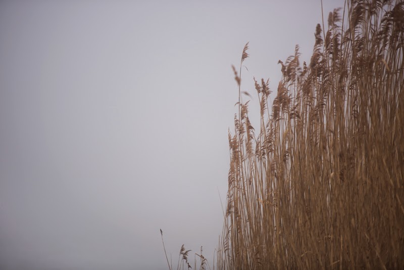 David Gadreau Photography | 68 Berkley Ave, Port Colborne, ON L3K 1T2, Canada | Phone: (905) 835-5415
