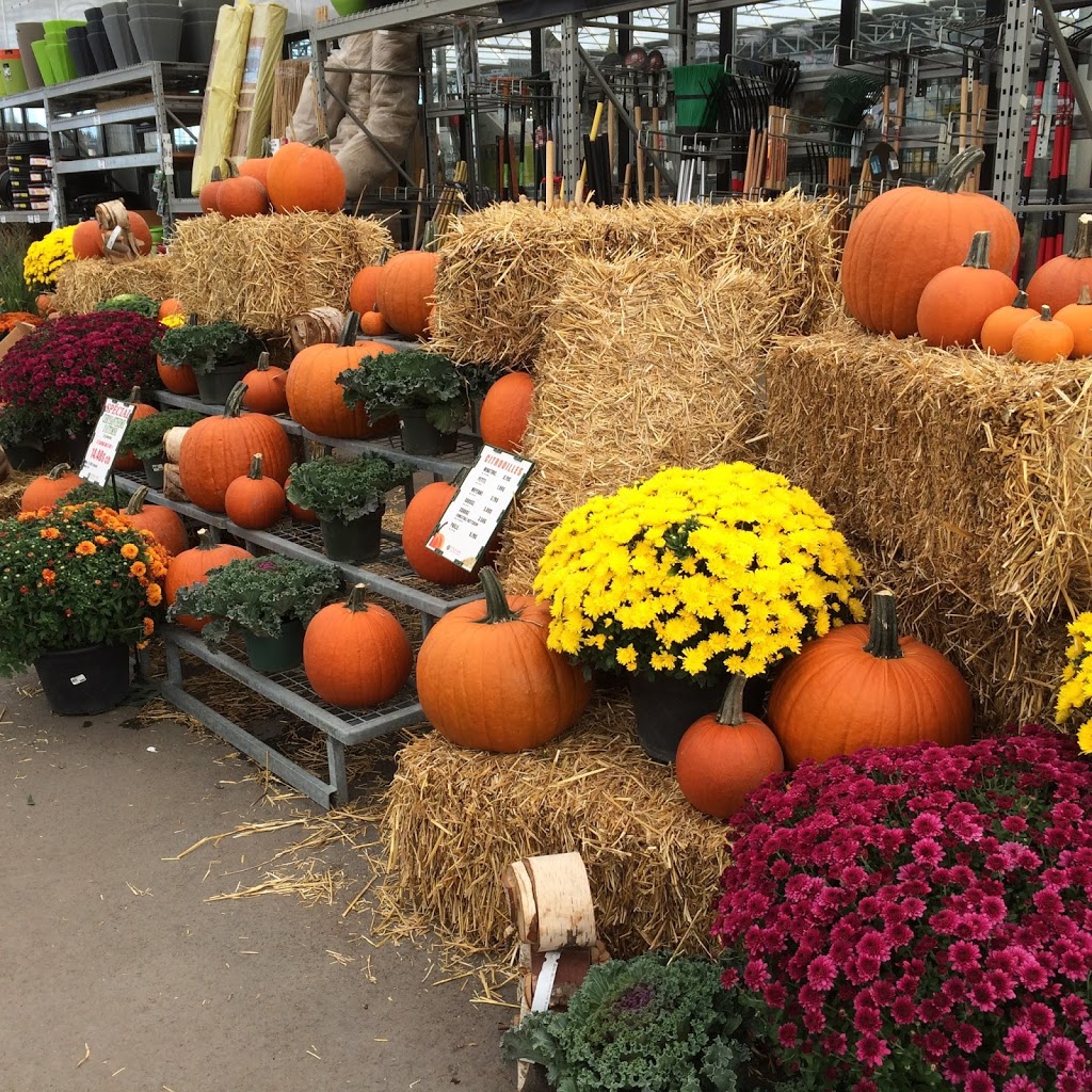 Centre De Jardin Brossard Inc | 6305 Grande Allée, Brossard, QC J4Z 3H6, Canada | Phone: (450) 443-2299