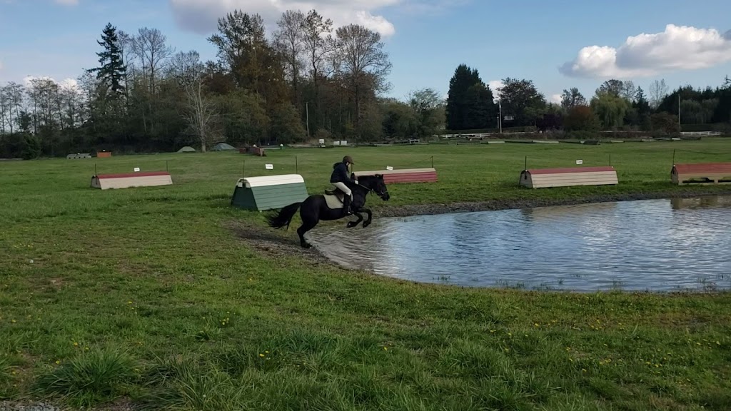 Louisa Nicholls Riding Instruction | 4185 244 St, Langley Twp, BC V2Z 1M8, Canada | Phone: (604) 856-0188