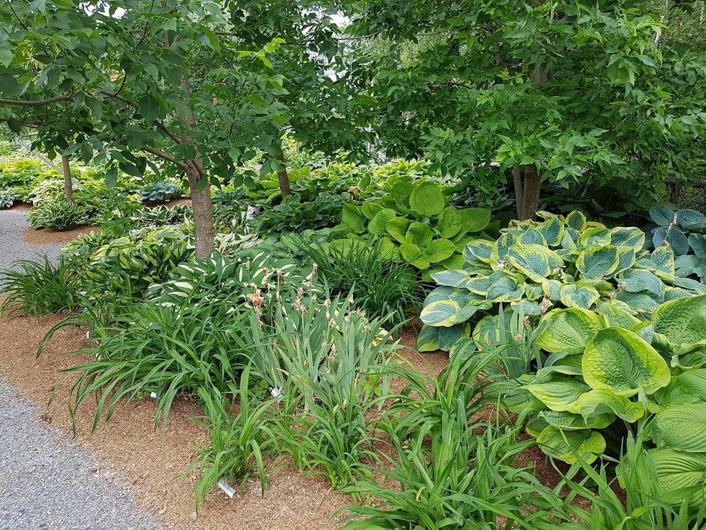 Les Jardins Shefford | 103 Rue Clermont, Shefford, QC J2M 1X3, Canada | Phone: (450) 777-9240