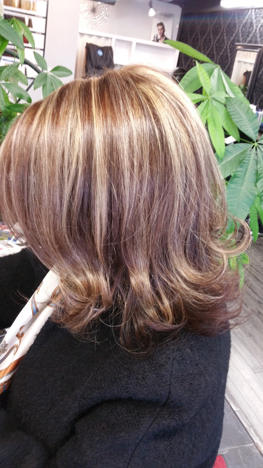 BRUCE SALON & SPA | 2340 Council Ring Rd, Mississauga, ON L5L 1C1, Canada | Phone: (905) 828-9199