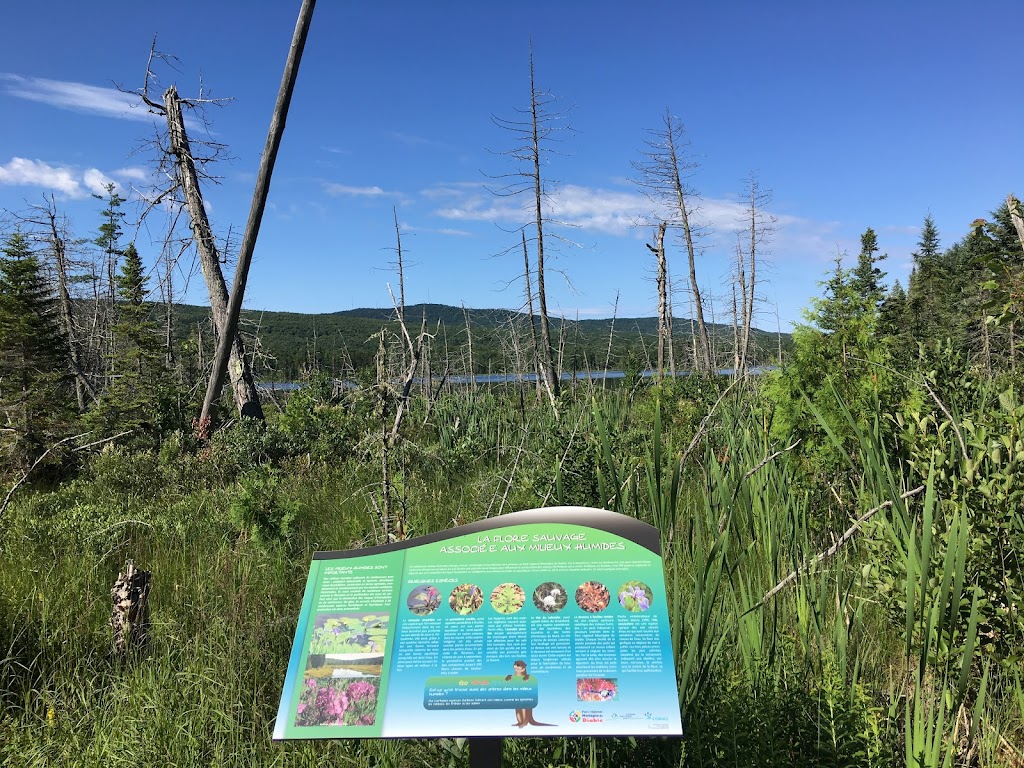 Domaine Paradis du Diable | 1000 chemin léandre-Meilleur, Antoine-Labelle, QC J0W 1C0, Canada | Phone: (514) 705-5941